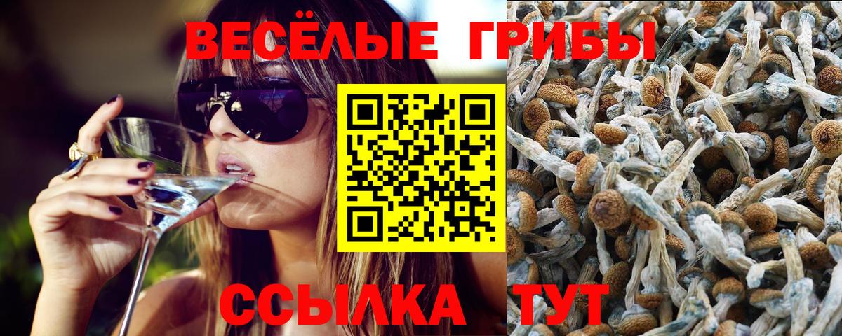 Галлюциногенные грибы Psilocybe  Галлюциногенные грибы мухоморы  Вход с VPN  Ангарск 